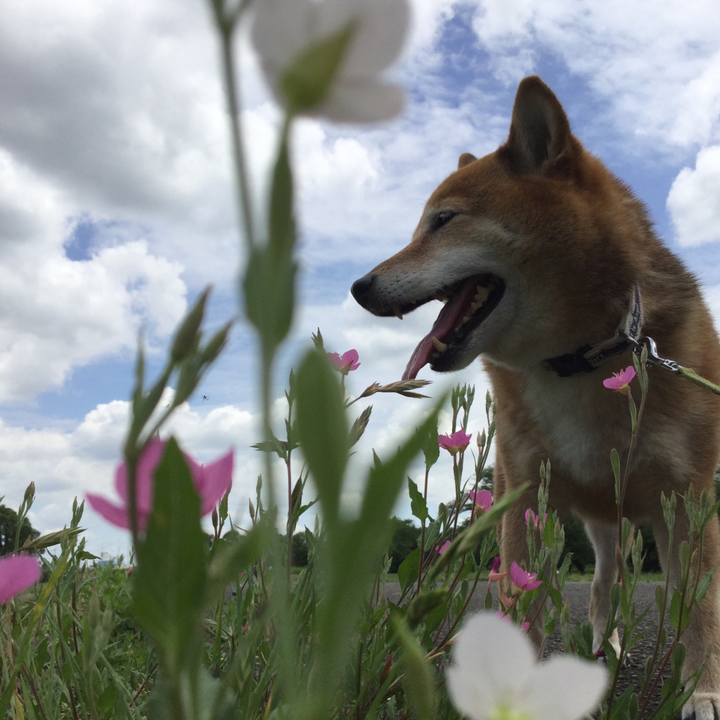 Aec78f88 ff3e 48c6 8aa5 b33534928f62 1559532194478