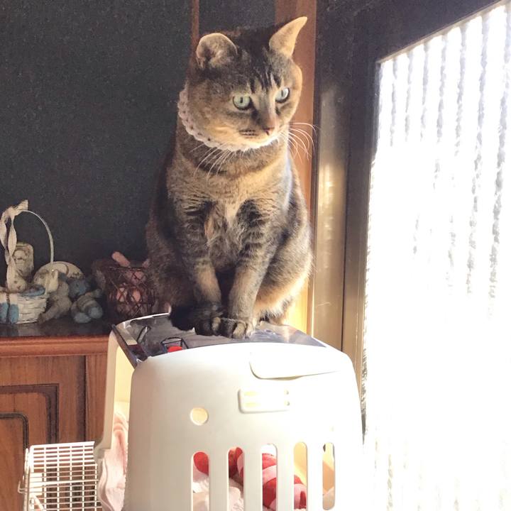 Aec796bf e883 46e3 8c36 8afe17f0be47 1740288206613