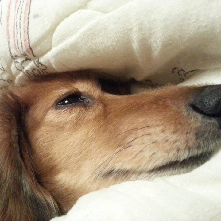 Aec7a7b9 75dd 4ff3 91fb bbbdb8a5e385 1535463862690