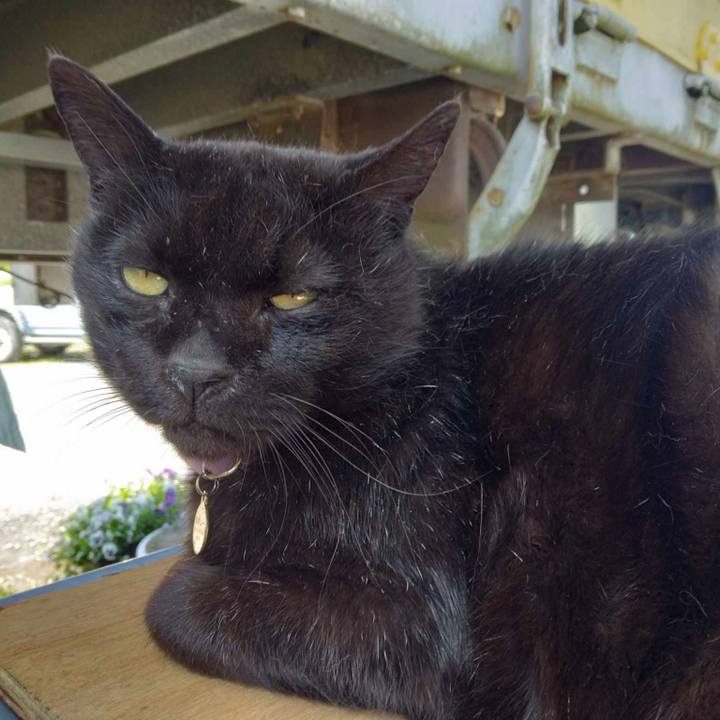 Aec803d8 0527 4626 b968 1c375943ad3e 1715304739909