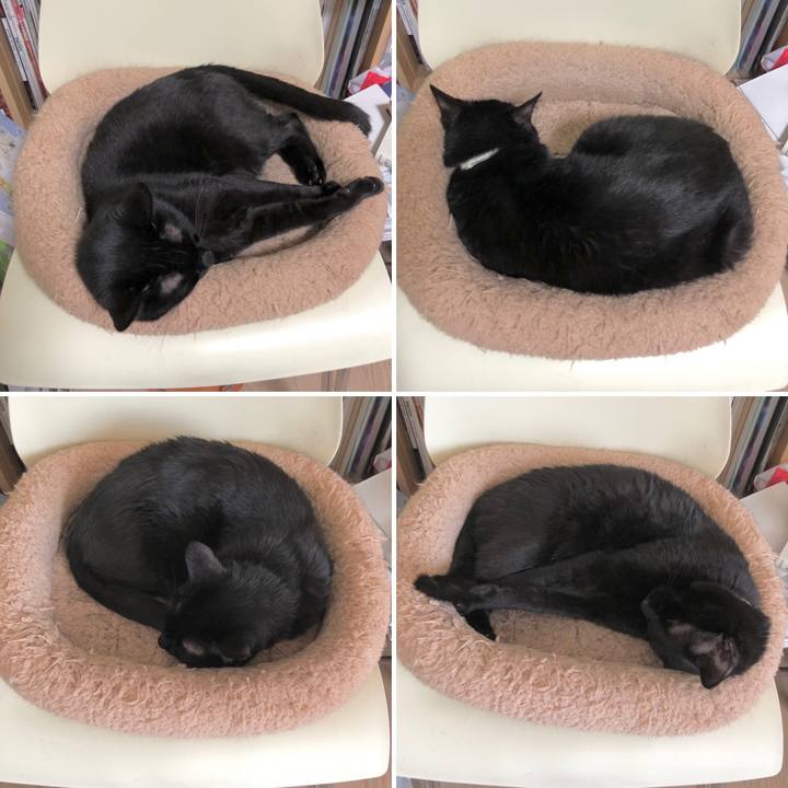 Aec8267c 1c83 41cf a783 73e8af9c941a 1619919860635