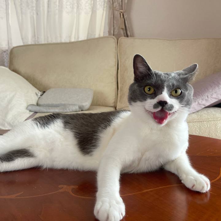 Aec82ef0 7369 4a54 83e7 e3b3f50f084b 1627794407401