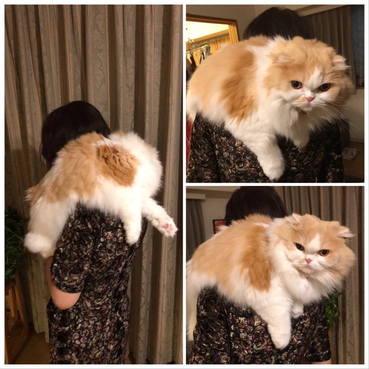 Aec8518c 76c0 4d13 bb7c 15f2e70793c1 1569155861900