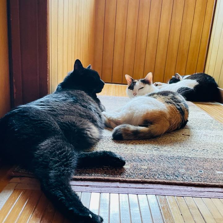 Aec86099 239a 4340 b17c 0d1b61685f86 1659312287263