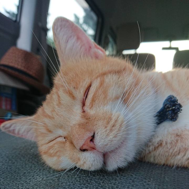 Aec86502 ce6c 4ffd 84bd 1d0c06e227f1 1565437796539