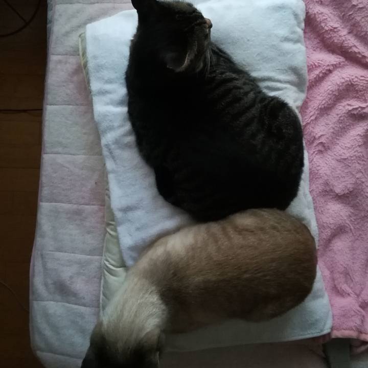 Aec87204 c00d 42a9 a265 5f93e1801653 1580164730728