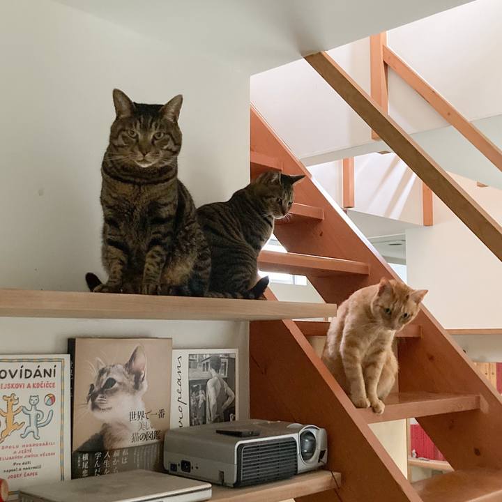 Aec88029 9229 4c23 a288 c28a63e33bce 1713271215986