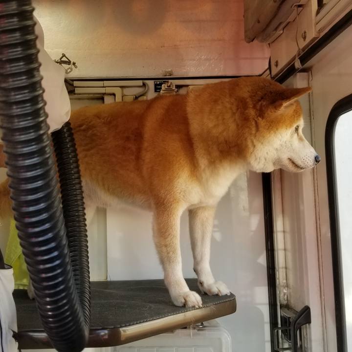 Aec8f1cd 2a57 4f56 820b 014b72c2c538 1633913260354