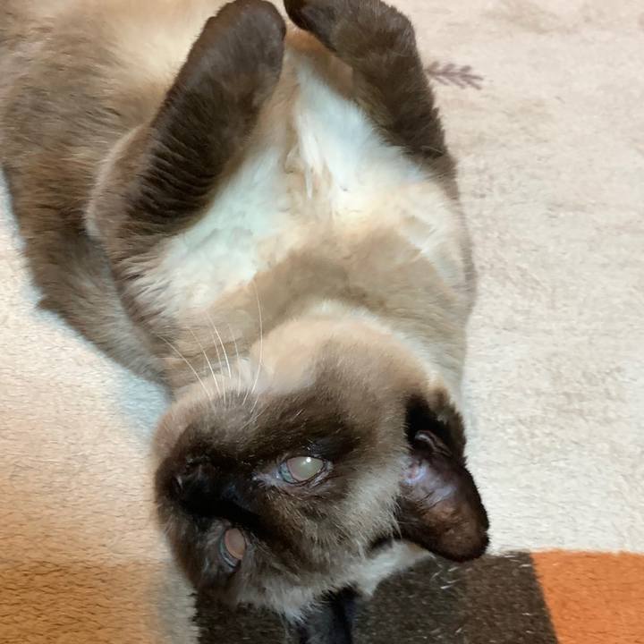 Aec9262e 0d44 4e1a 9c41 ca4d86611190 1656206274626