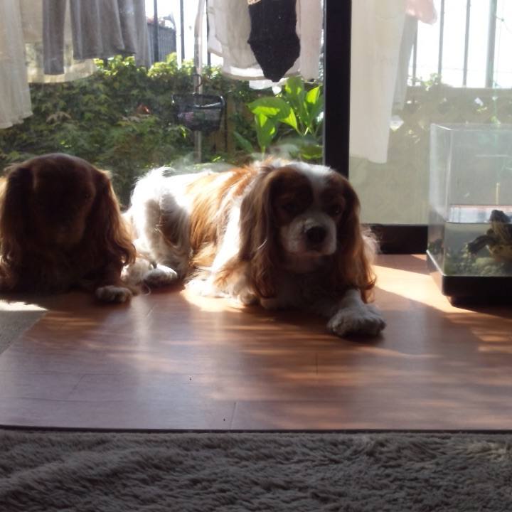 Aec94518 dd0b 42ad 907c 1485f2cc251b 1518608885216