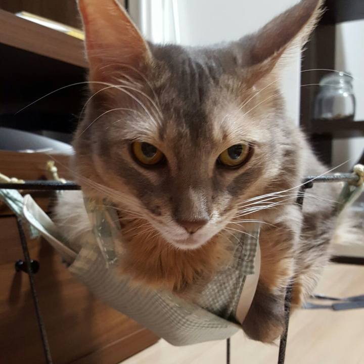 Aec959f1 7afc 4596 b84f a3b64bc6d2cc 1570967703074