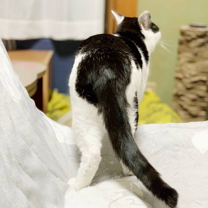 Aec96c38 e82f 408e 8aee 7bd643da0a63 1553479265332