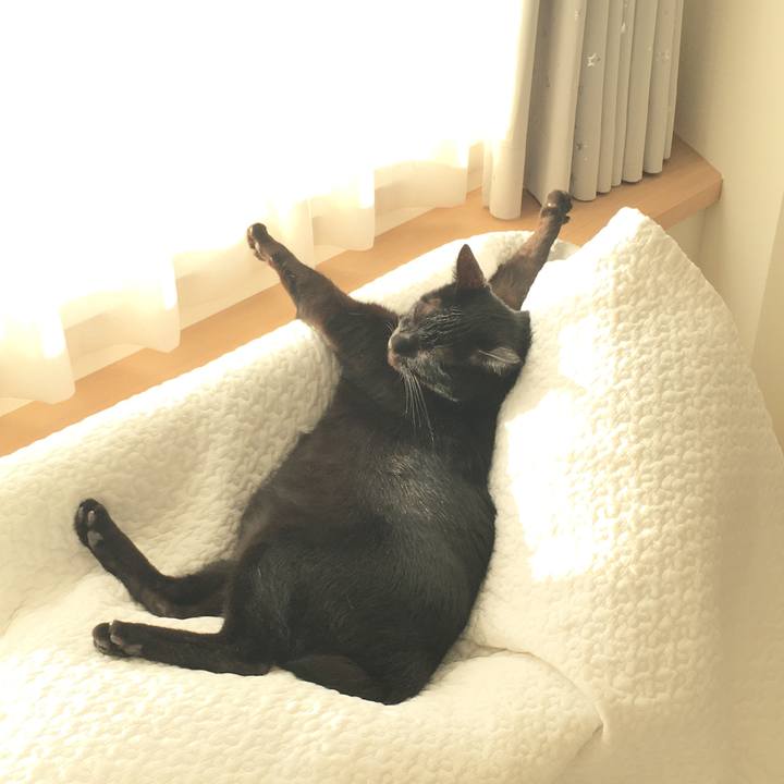 Aec97ac2 9d8d 405c 918b 76a702666abe 1640599003634