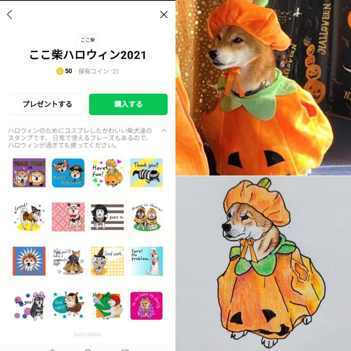 Aec98123 745f 4cd1 b7e4 145db43e39d4 1630067373758