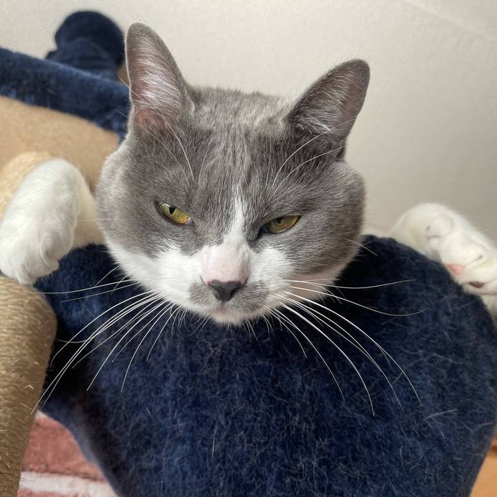 Aec98da4 bf17 4bb7 83dc cf2fca5e4bb9 1641344355339