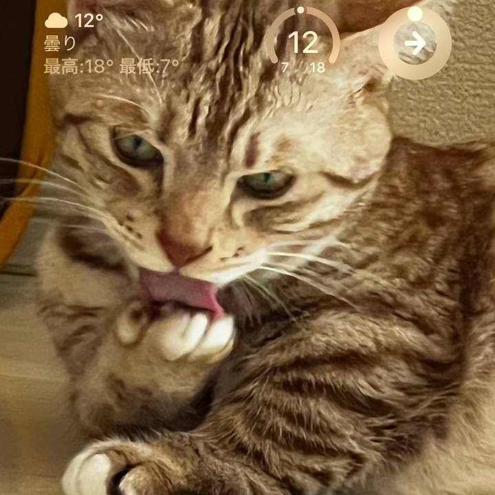 Aec98e80 55ba 44b6 8da1 d9cff6a18d7f 1678581015460