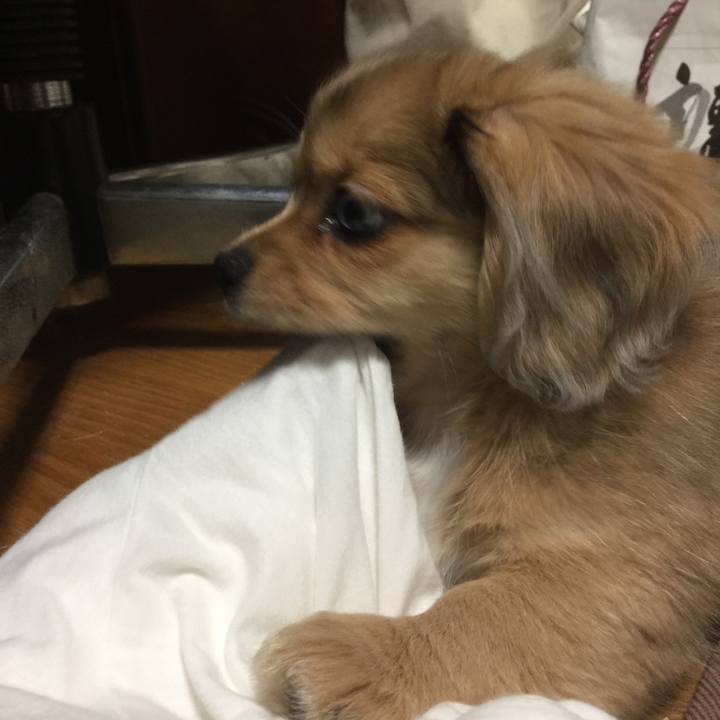 Aec9d228 69b0 404d 8409 c173548d9b97 1538262946008