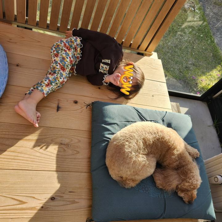 Aec9e6eb ae15 4d6a bf62 84367659d5b8 1763276233343