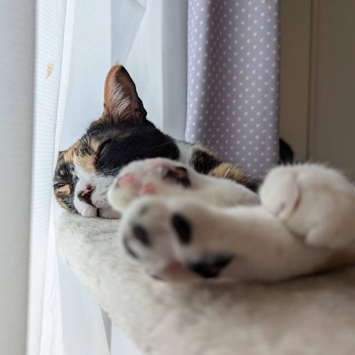 Aec9ec2c d5a6 45cc aa32 4c0c281e2b24 1725953972486