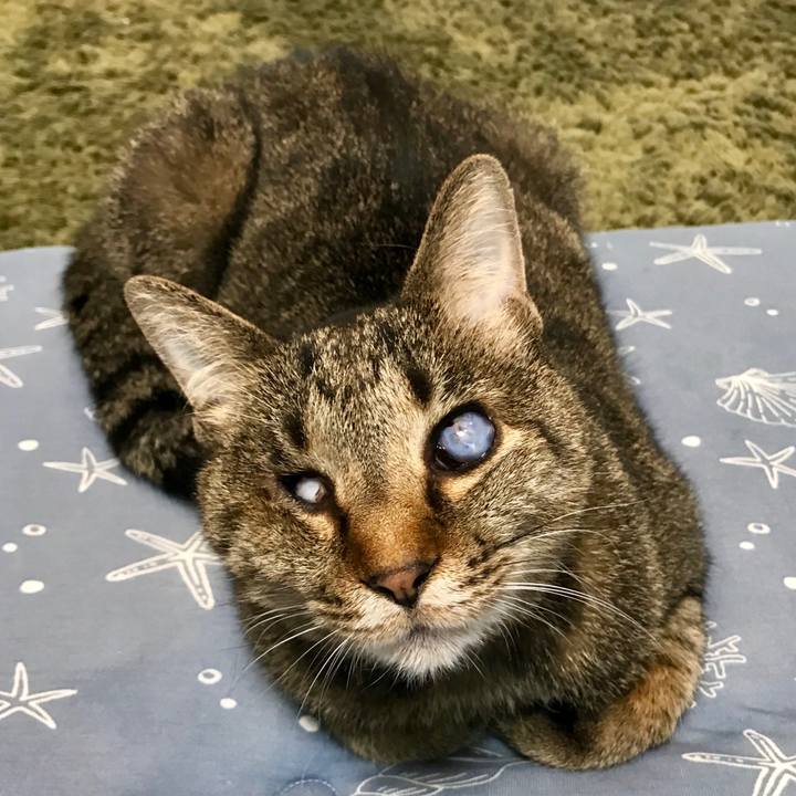 Aec9f5bb ec38 495c 8cfb 0f35b3833b6a 1561851879096