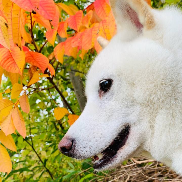 Aeca6d3e 8ceb 4d6e 8a7b f1a678e99f29 1634367338335