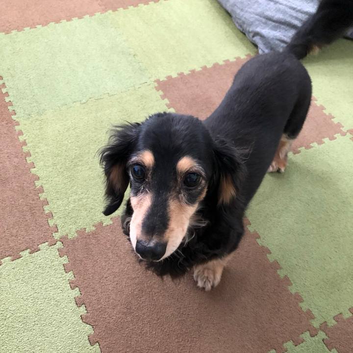 Aeca8574 f4a2 4210 8f56 bfb0ae659025 1560471559319