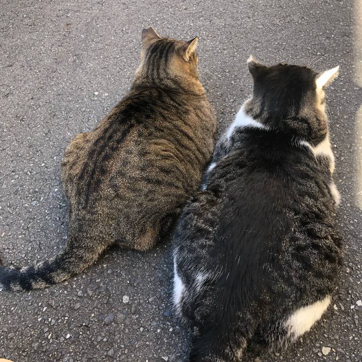 Aecaac28 5fd7 4504 8d5a 3fb5cbe34a65 1574332706174