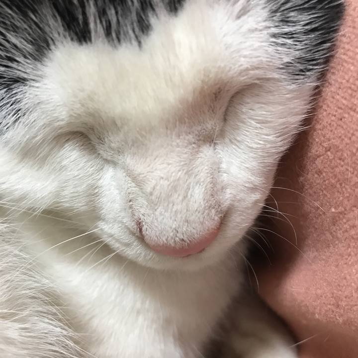 Aecaade3 8ba9 4a5b a512 5a13ba9fe55e 1518364522741