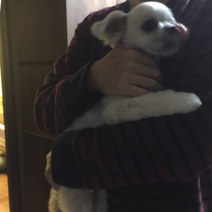 Aecae10e ce0e 4259 a798 000491e13bc3 1513425308741