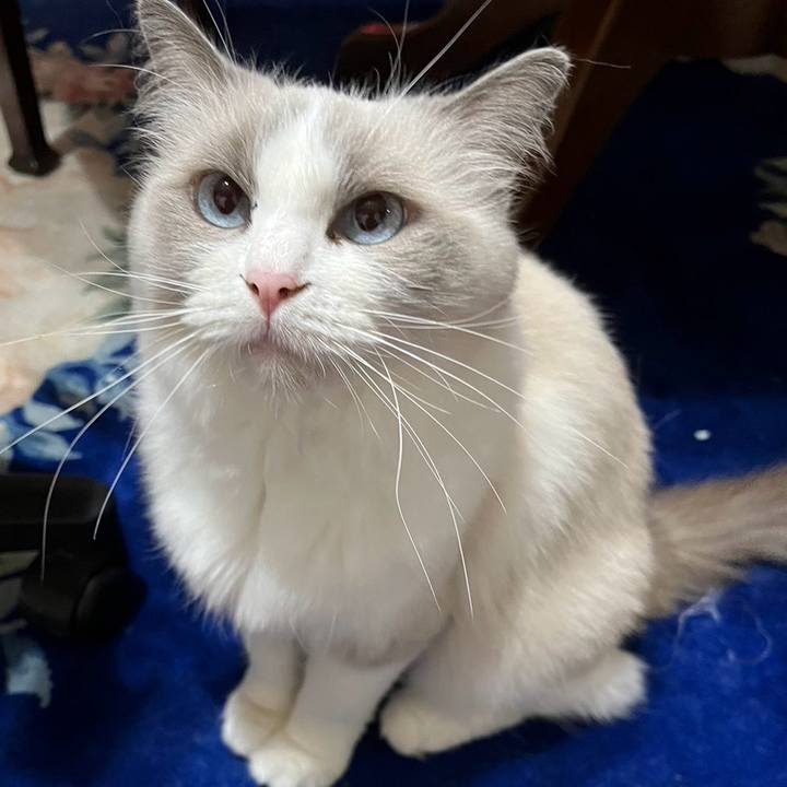 Aecaf990 1cfb 46b0 95f2 c4e59a9ad806 1758368433300