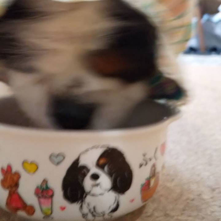 Aecb2582 aad8 44ed a58e 4e7f4f7c5607 1565182057492