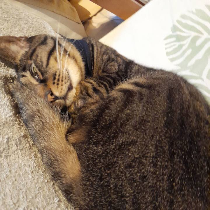 Aecb48f4 63a6 4657 a5a7 2147c9b2a42d 1756552095277