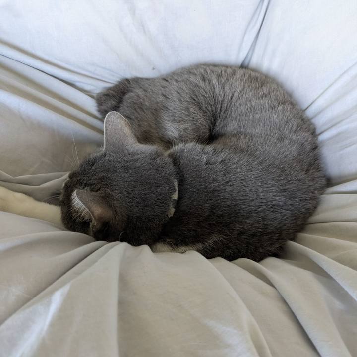 Aecb8089 9054 45ad 9340 4926aa41a568 1774747487288