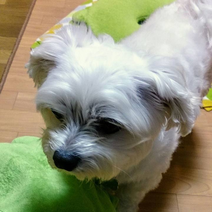 Aecb8c2b 6bc6 43ca a7b1 66422739a135 1524834490158