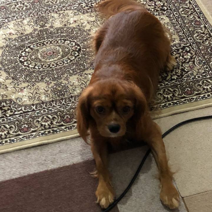 Aecbc8e7 2a6e 4626 9747 6aa54952d49a 1536184430744