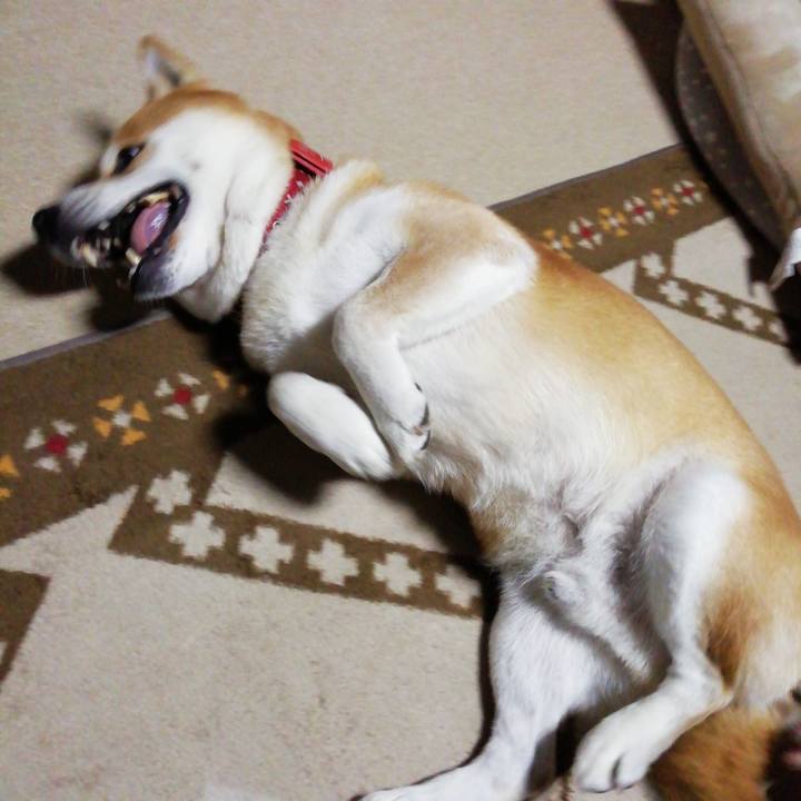 Aecbcee9 693f 4324 ad65 c83b091ae315 1639560868354