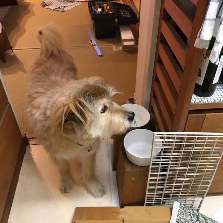 Aecbe60a c65d 49d8 808a 40f529f834cb 1565451948283