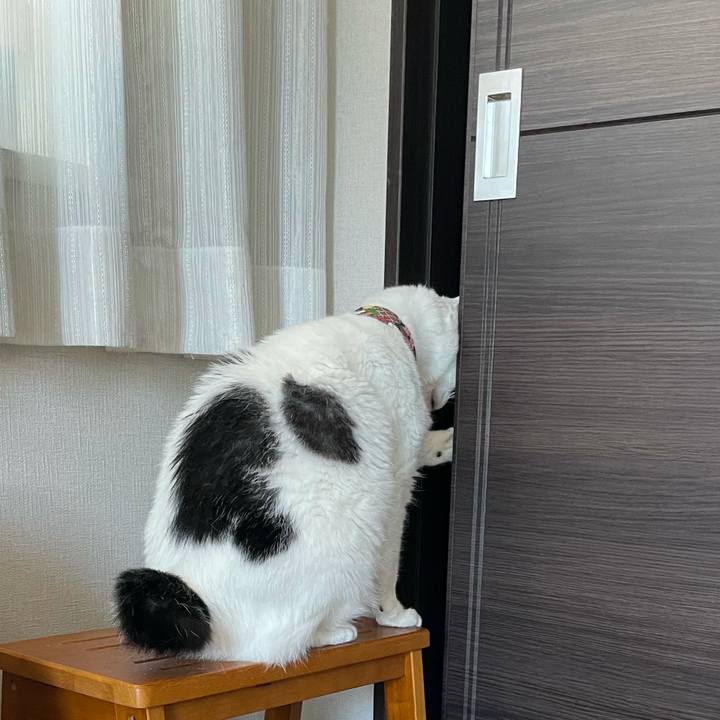 Aecc597f 8791 4ba7 be51 3761b555efff 1632022443751