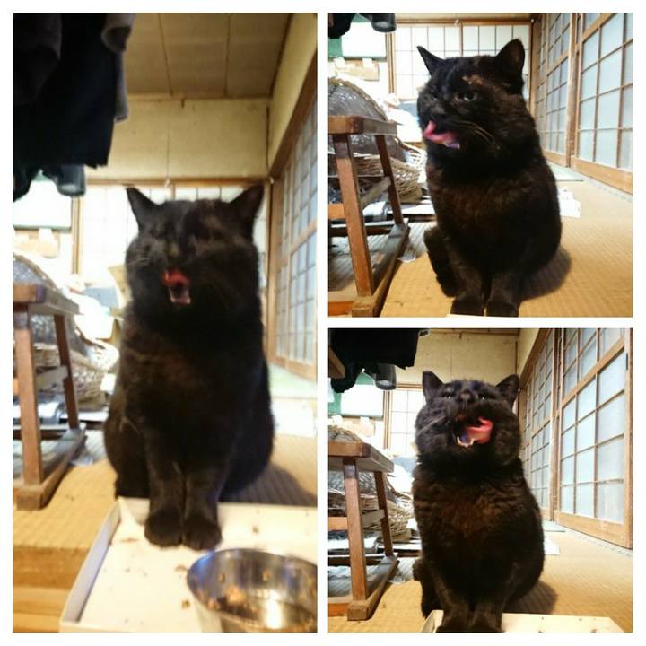 Aecc808e 1085 4a2a ab2e 2e3e2597fa9f 1617182807588