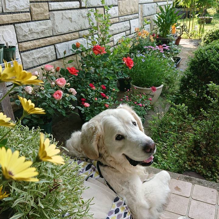 Aeccf566 acd4 4a76 b440 4c0a7573a45f 1557619952203