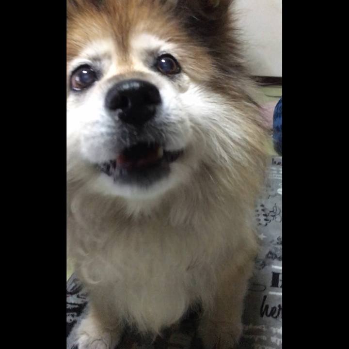 Aecd16ae 4a7d 4d46 8fef 19a25e1cf4eb 1588438286398