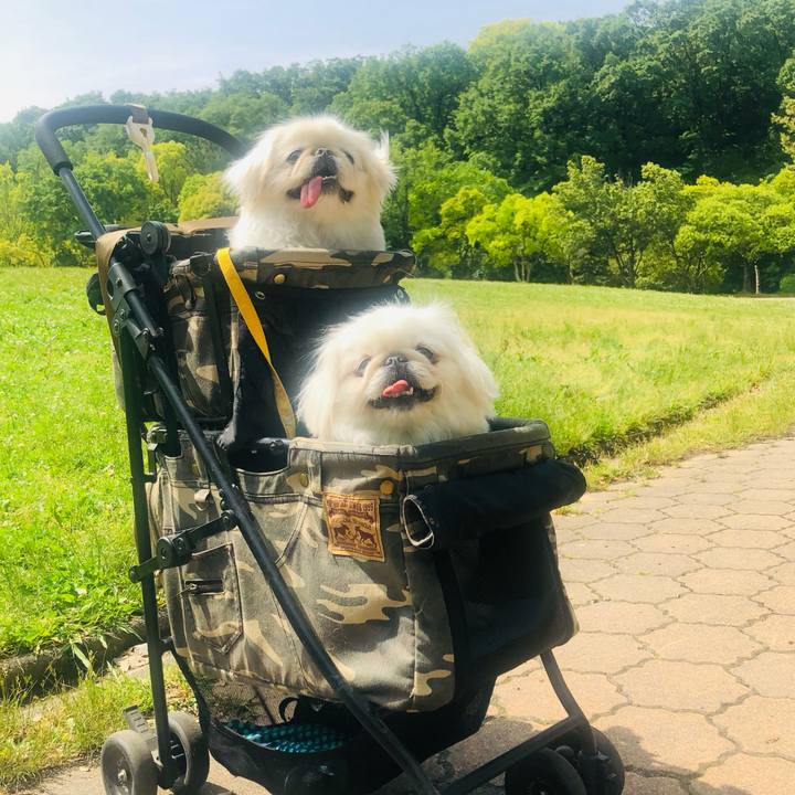 Aecd22c2 9f6a 4973 85d1 c5c36211d0d0 1620439018124