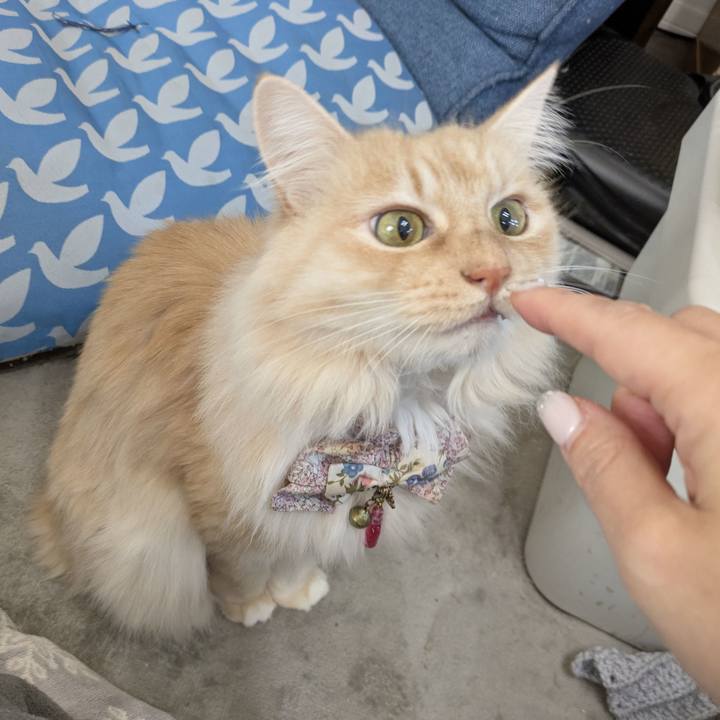 Aecd22f3 5822 4c10 b9cf 95e81d5ef0f5 1769742933773