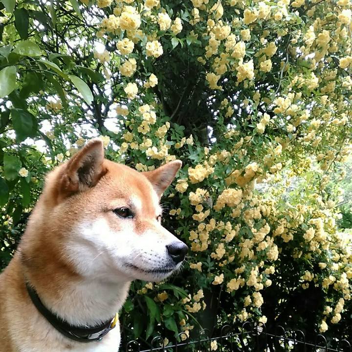 Aecd5297 695e 4999 a83b d22e7b1cad31 1556669867323