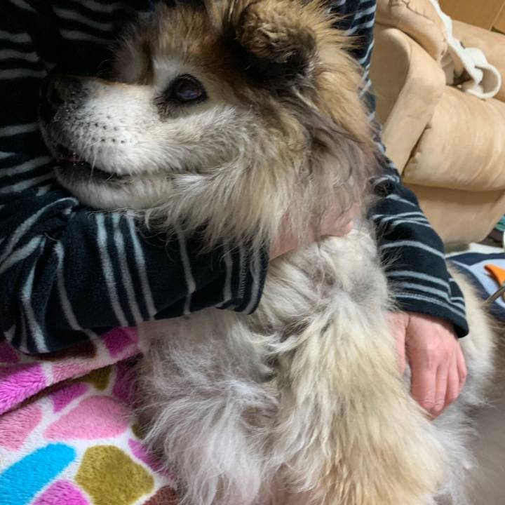 Aecd579e 345d 49c6 ad03 f1efdef7d1a8 1624242455684