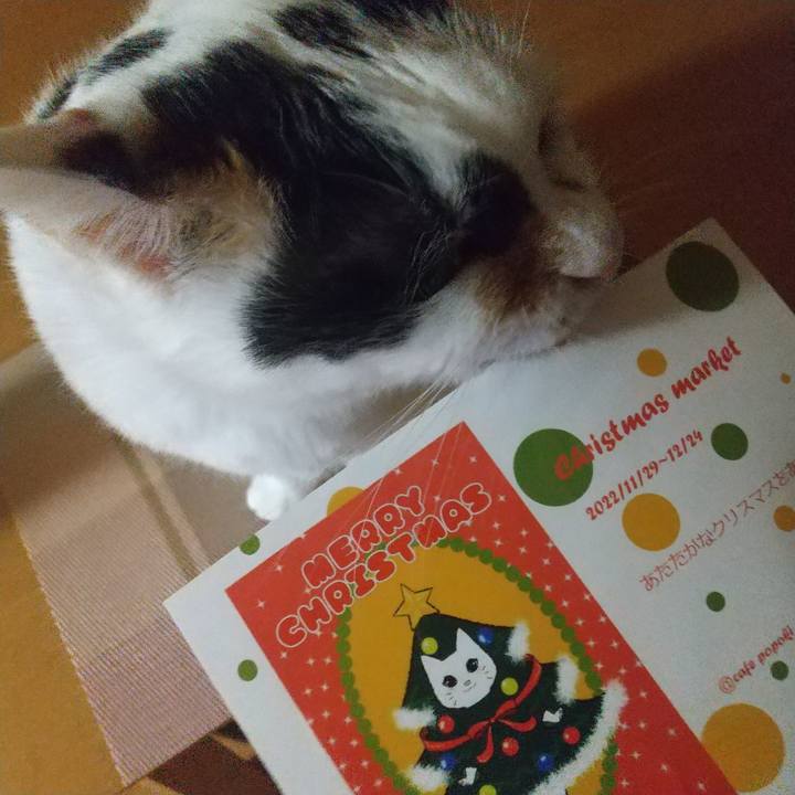 Aecd614d f1e3 42f3 bf6f cd46050e6955 1669019120401