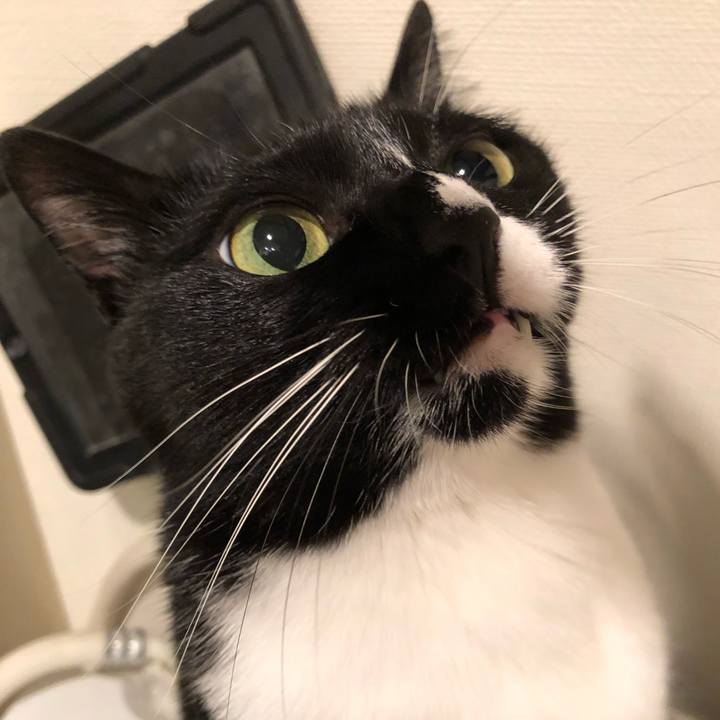 Aecd8660 0c92 4335 961f b9d9f050a5c3 1541739523167