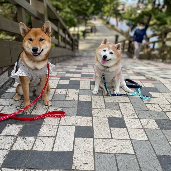 Aecda6bd 61bc 491f adf0 3fb5f7e0767d 1665830947521