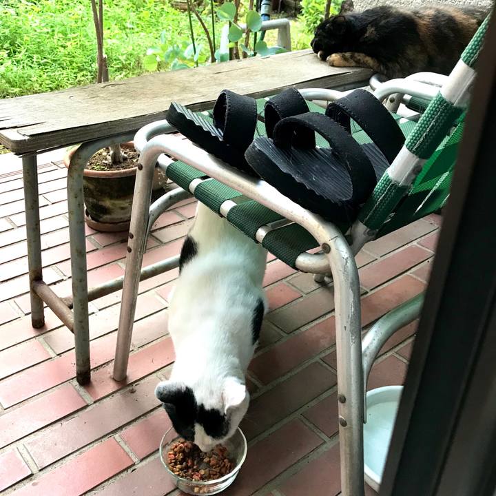 Aece05b9 fb59 4d38 baf1 51eaae5c8740 1597028724146