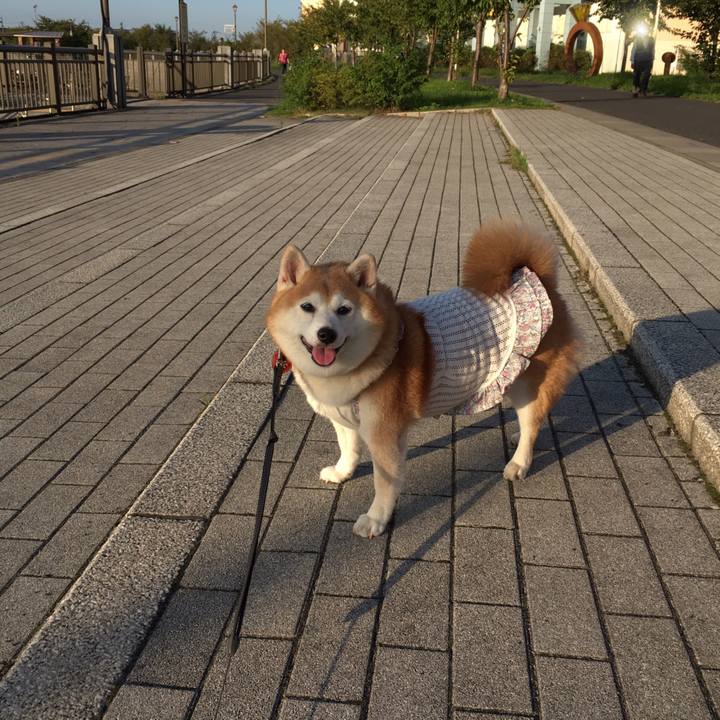 Aece3769 4ce0 43f8 8779 233ebf60a076 1537421597975